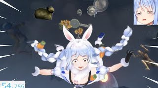 Accurate Pain Peko Moment