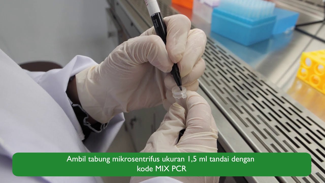 Prosedur Pemeriksaan PCR Gen GSTM1