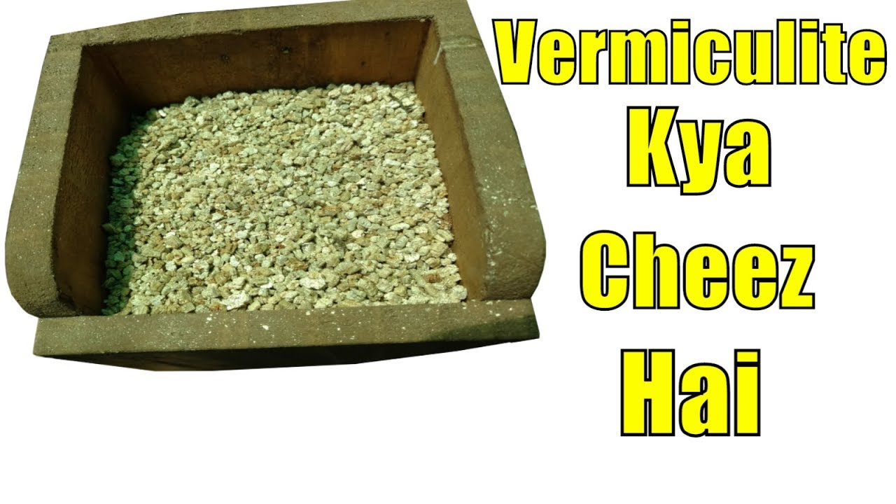 Vermiculite Kya Cheez Hai || Volcanic Rock || Water Holder