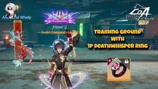Specter with 1p Deathwhisper Ring Rotation | Damage Testing #2 | Crystal of Atlan #2