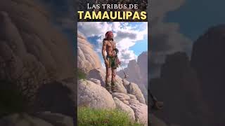 Lipán Tamaulipas #cultura #mexicoprehispanico #historia
