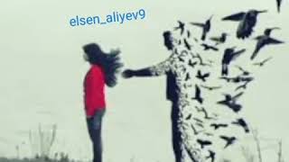 Seni Sevirəm Divaneyem