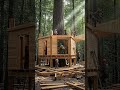 Forest Tree House Build 🌲 Luxury Treehouse Construction | #TreeHouse #forestbuild  #interiordesign