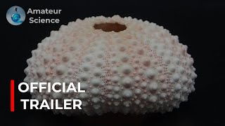 Channel Trailer (OFFICIAL VIDEO)