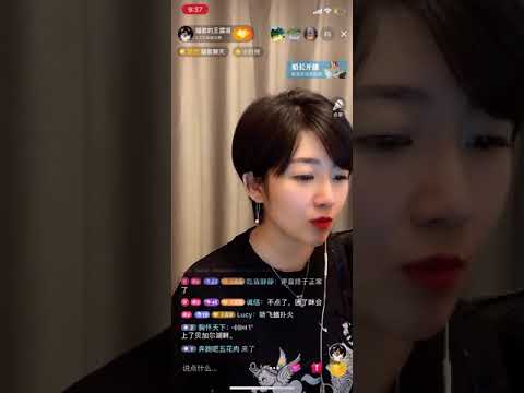 飛蛾撲火