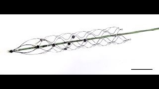 Stentrode: Moving with the power of thought