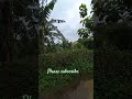 #shorts #bollywood #newsong #song #movie #music #nature #tech #musicclip #skylight #travel #green