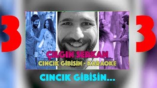 Çılgın Serkan - Cıncık Gibisin (Karaoke) | Delivizyon Resimi