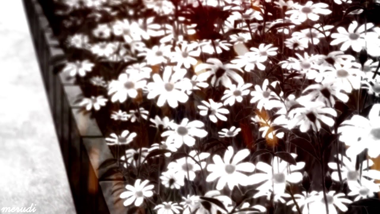 「☂」 Mine. - rinharu week | day 08