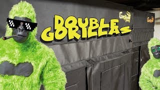 Double Gorilla Grow - UPGRADES part:2 - Cycle Setup