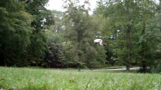 Coaxial R/C Heli: Sovereign Technology 'Helibaby'