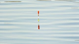 Splávek Na Ryby Nejúžasnější Vynález V Rybařině