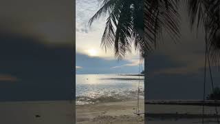 Tropical Reggae Vibes: Ocean, Mountains &amp; Pure Chill #музыка #природа #доброеутро #релакс #океан