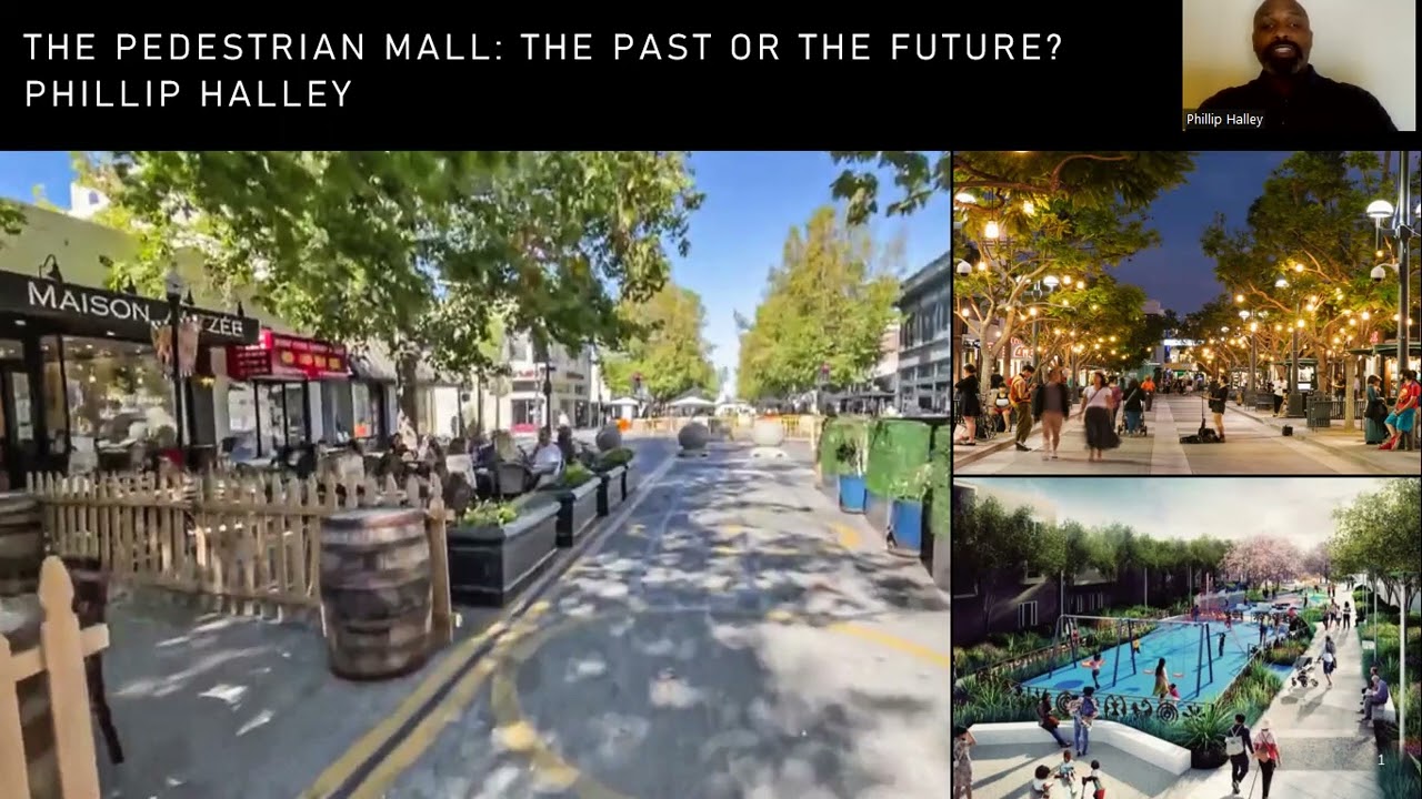 The Pedestrian Mall: the Past or the Future?