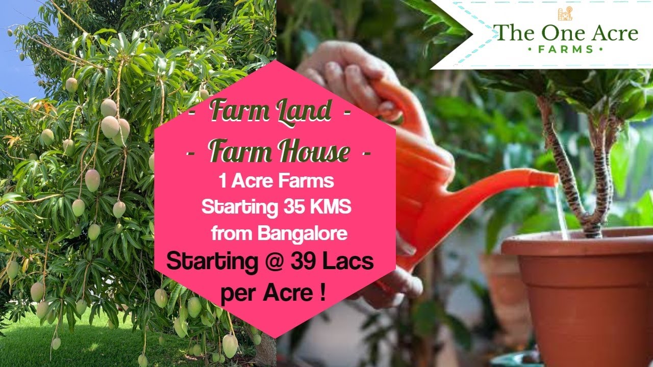 Farmland Near Bangalore Agricultural Land for sale near Bangalore