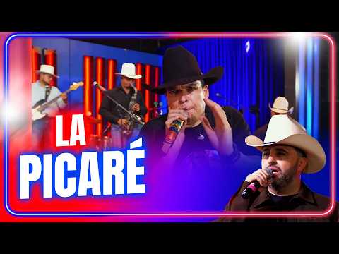 La picaré live