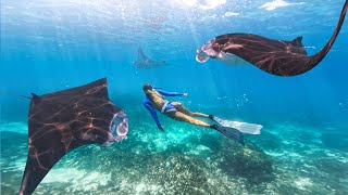 GoPro HERO12 Black: Free Diving with Giant Manta Rays! by Chris Rogers 27,301 views 8 months ago 6 minutes, 8 seconds