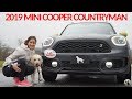 2019 Mini Cooper SE Countryman All4: Andie the Lab Review + Winners Announced!