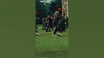 TENTARA INDONESIA JOGET ME GUSTAS TU 