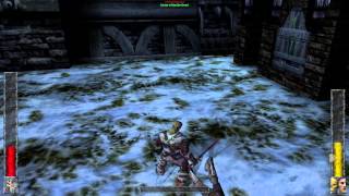 Rune Gameplay[PC HD]