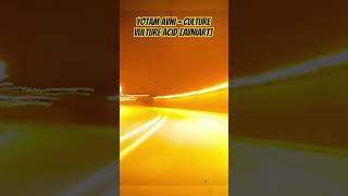 Yotam Avni - Culture Vulture Acid [AVNIart] #techno #acidtechno #drivingtechno #acid