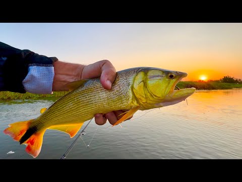 THE PERFECT PLACE FOR ANY FISHERMAN
