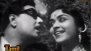 Moodu Pani Kulireduththu Video Song | Dharmam Thalai Kaakkum Songs | MGR,Saroja Devi | TMS,Susheela