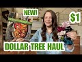 NEW DOLLAR TREE HAUL *HUGE* BRAND NAME* AMAZING