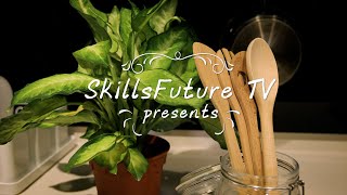 SkillsFuture Earn and Learn Programme