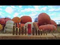 How Many Pumpkins Does it Take to Stop a Bullet?