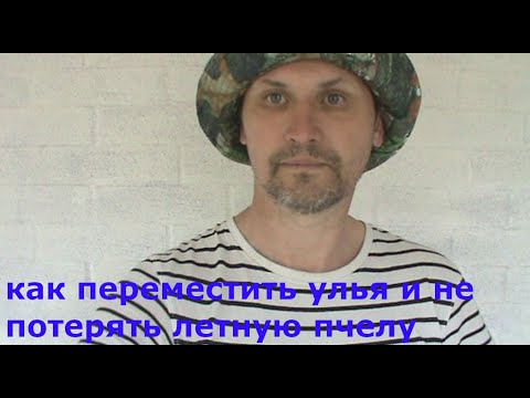 как переместить улья и не потерять летную пчелу