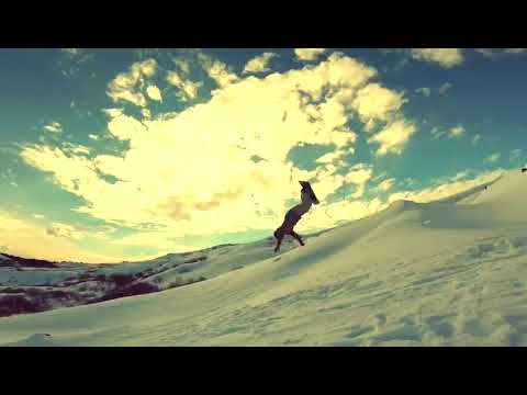 Next Level Chile - Ride or Die - Benjamin Jara Venegas
