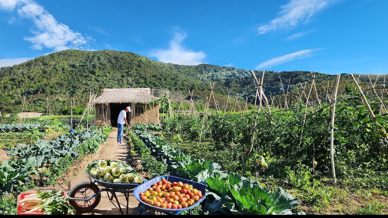 A Peaceful Life Under the Mountain Building My Dream Garden