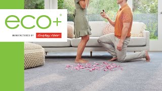 Godfrey Hirst Eco Carpet - We'll Be There For You Godfrey Hirst Eco Carpet - We'll Be There For You