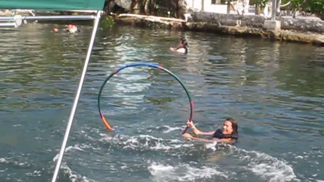 Swim With Dolphins Key Largo, Florida YouTube