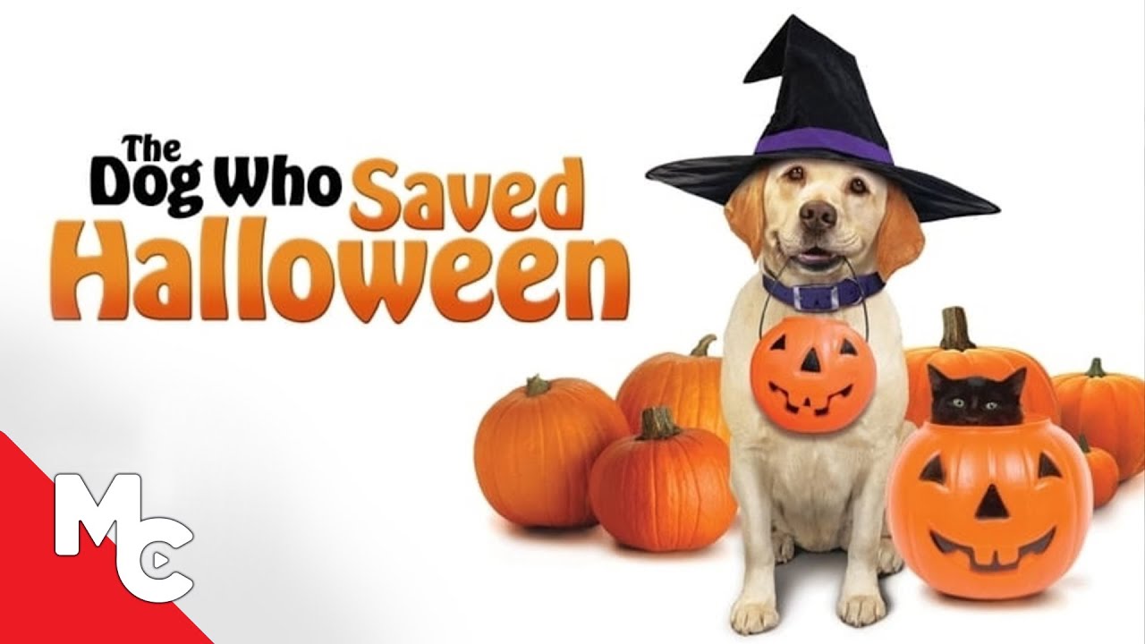 The Dog Who Saved Halloween | Full Movie | Family Adventure
