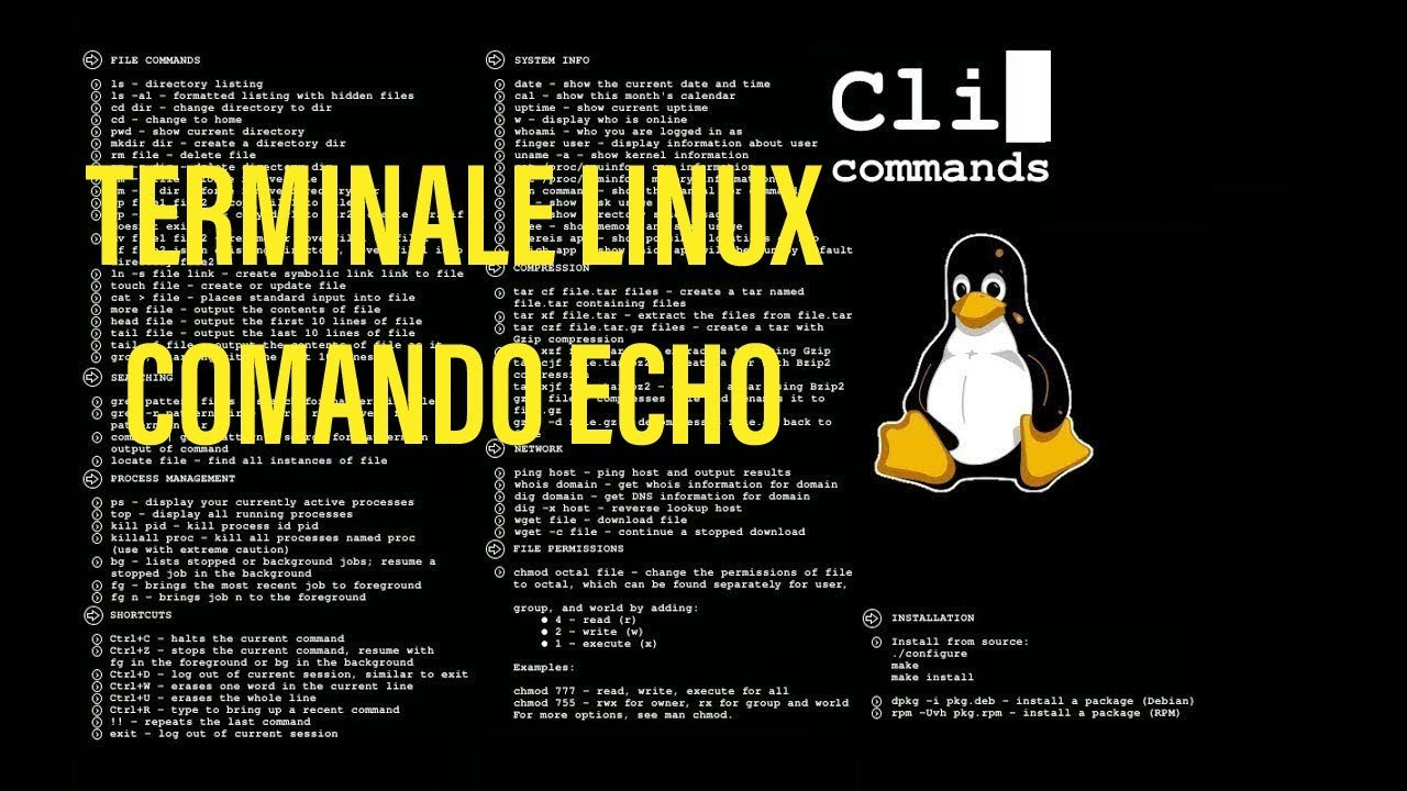 Comando echo linux scrivere in un file di testo da terminale youtube