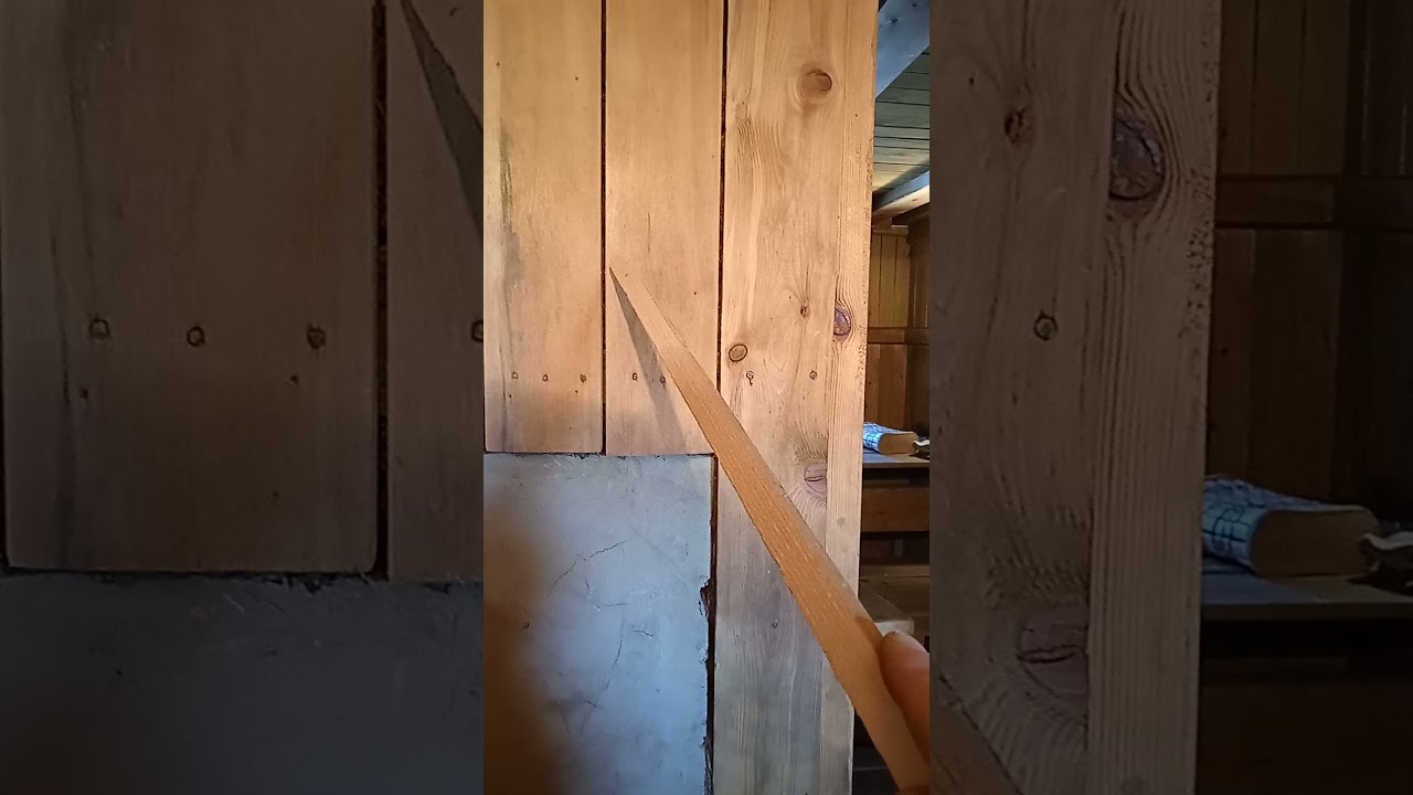 мох сфагнум в качестве утеплителя