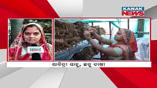 Bazaar Halchaal: Rayagada Couple Thrives With Mushroom Cultivation, Inspires Job Seekers