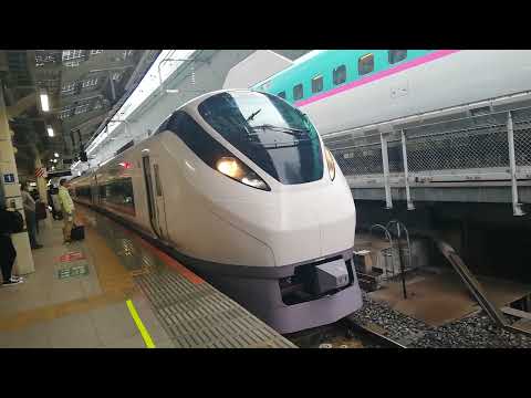東海道線　特急ときわ66号品川行き　E657系カツK1編成　東京駅にて