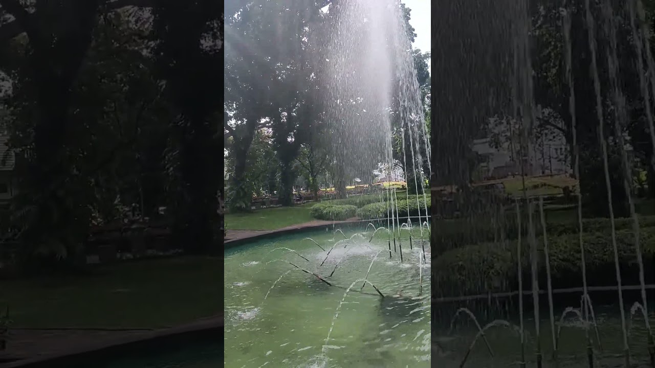 🐸 Frog swimming through life, one ripple at a time.