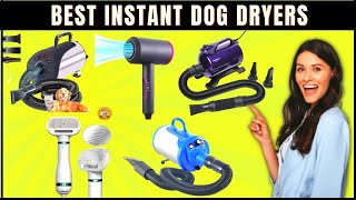 7 Best Dog Dryers Reviews (How To Dry Your Dog Fast At Home)