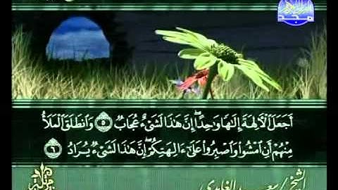 المصحف المرتل للقارئ الشيخ سعد الغامدي | الجزء ( 23 )