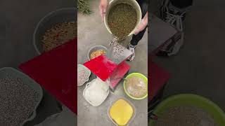 Corn Crusher Machine for Poultry & Cattle Feed Maize Grinder Demo #corncrusher #farmequipment