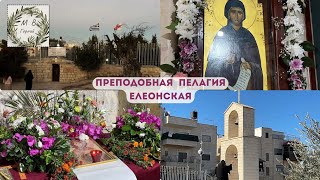 Holy Land Память преподобной Пелагии Елеонской