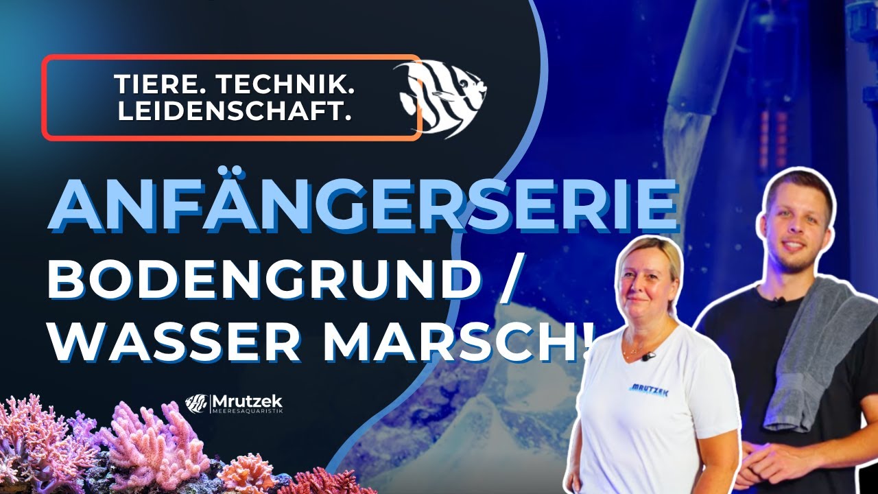 Teil 6: Bodengrund & Wasser marsch im Maxspect LS-120 | Meerwasseraquarium für Anfänger