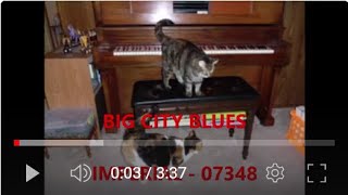 BIG CITY BLUES - Imperial 07348