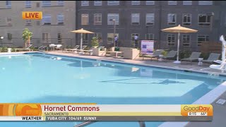 Poolside At Hornet Commons!