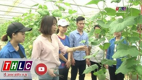 Đẩy mạnh nghiên cứu và ứng dụng khoa học công nghệ trong giảng dạy và thực tiễn | THLC
