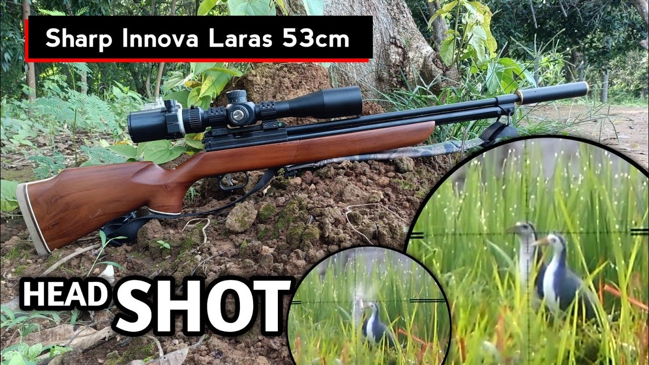 TES HUNTING UNIT BARU‼️ Sharp Innova Laras 53cm A6